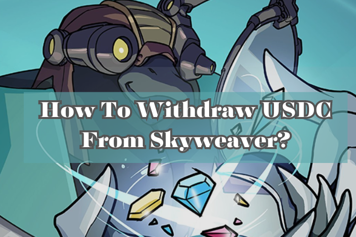 How to withdraw USDC from Skyweaver?